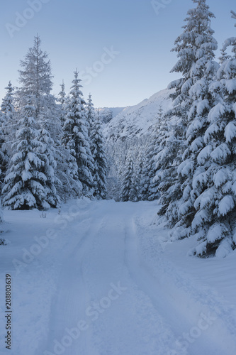 Winter wonderland in Poland © Photo Collective