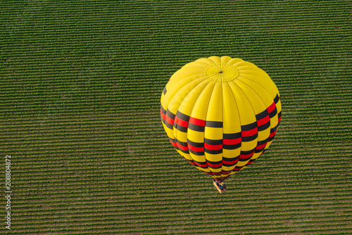 Hot Air Balloon Drifts Over Napa Valley Vineyards photo