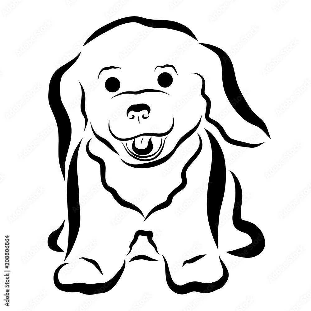 Obraz premium Cheerful little fluffy puppy, painted in black wavy lines