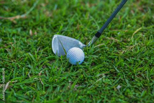 Golf ball in the grass