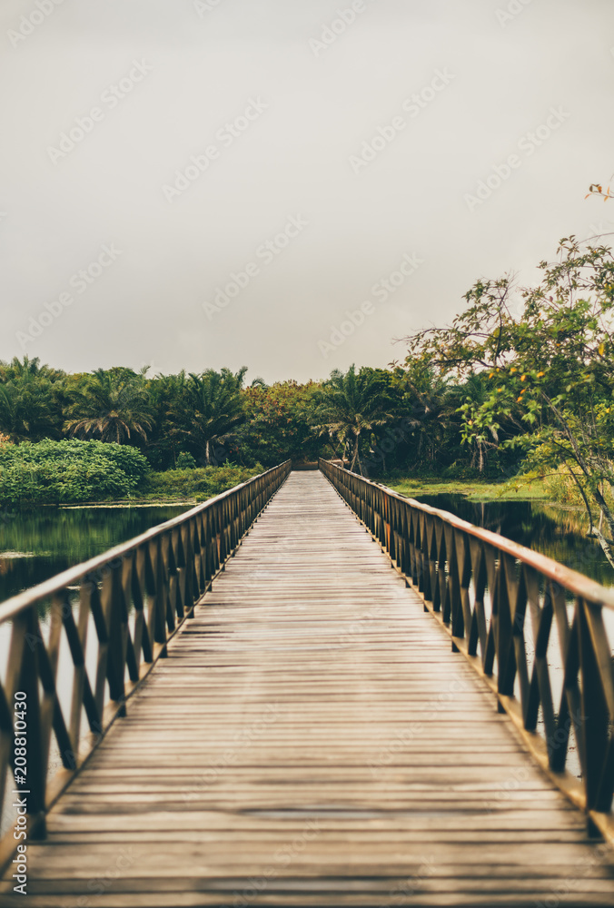 Vertical shot of a misty wooden bridge stretching into the vanishing point with muskeg pond on the sides and the jungle forest in the distance, overcast summer day, Praia do Forte, state Bahia, Brasil