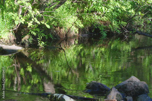 calm river fresh creek stream forest water reflections nature stone