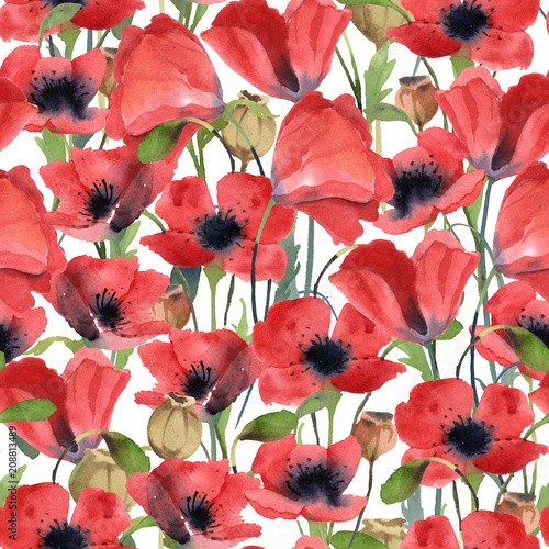 Obraz na płótnie Bezszwowy wzór czerwoni makowi kwiaty, liście i maczek głowa odizolowywająca na białym tle ,.