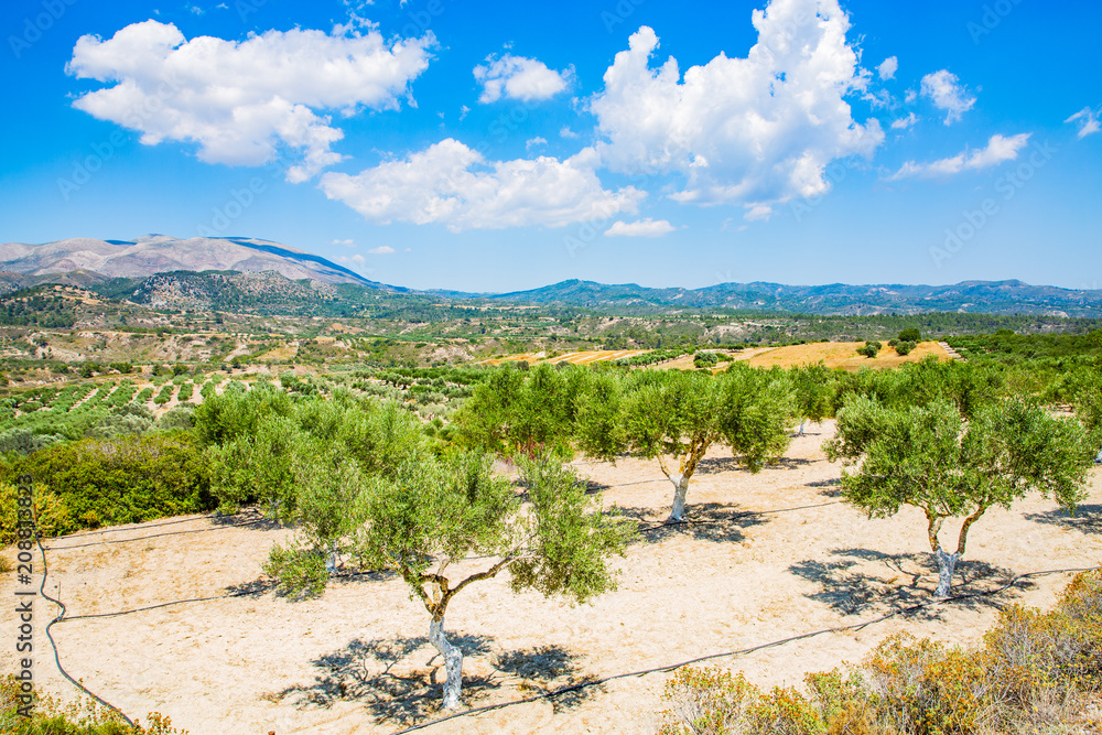 Idyllic landscape on Rhodes Island, Dodecanese, Mediterranean Sea, Greece