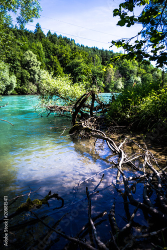 Tropisches Flussufer in der Schweiz © Andreas