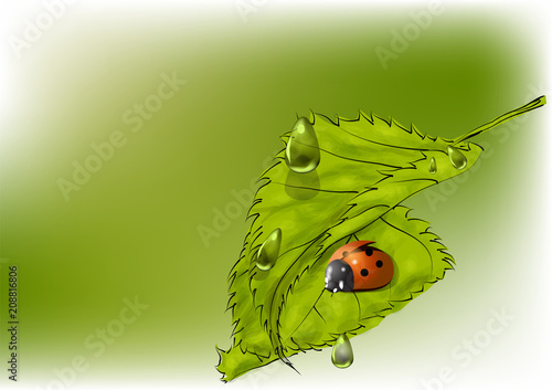 leaves and ladybug
