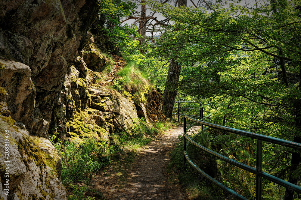 Scenic countryside landscape in the Black Forest: hiking through green forest with amazing views in spring near Allerheiligen, Germany Scenic countryside landscape in the Black Forest: hiking through green forest with amazing views in spring near Allerheiligen, Germany