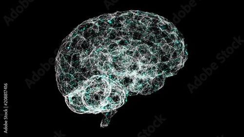 3D digitally connected brain learning plexus