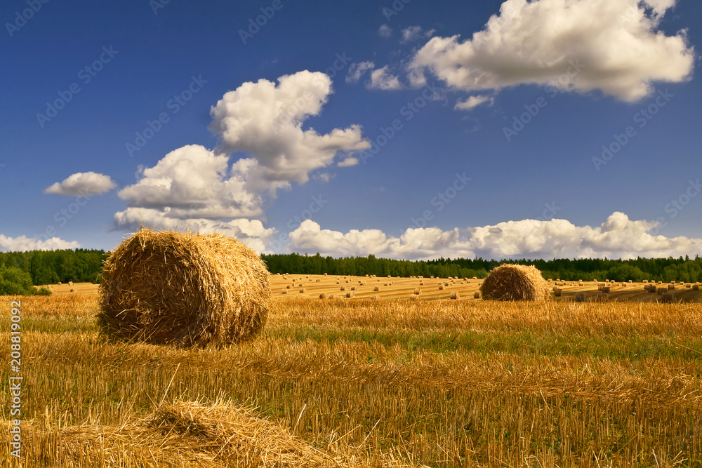 Straw bales on field against sky Straw bales on field against sky