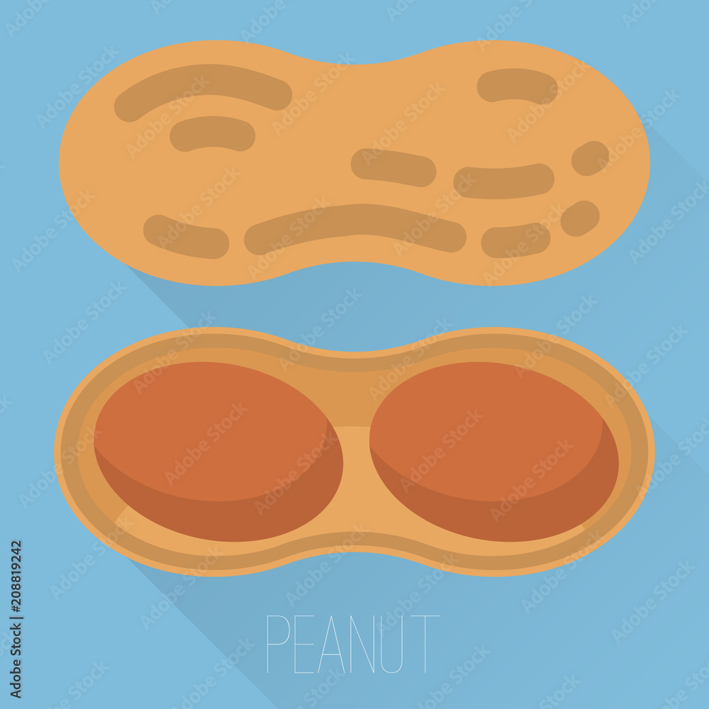 peanut vector icon