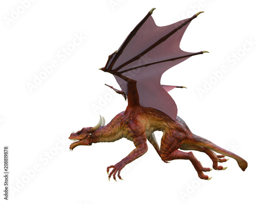 red dragon in a white background © DM7