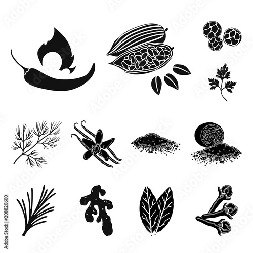 Herb and spices black icons in set collection for design.Different kinds of seasonings vector symbol stock web illustration.