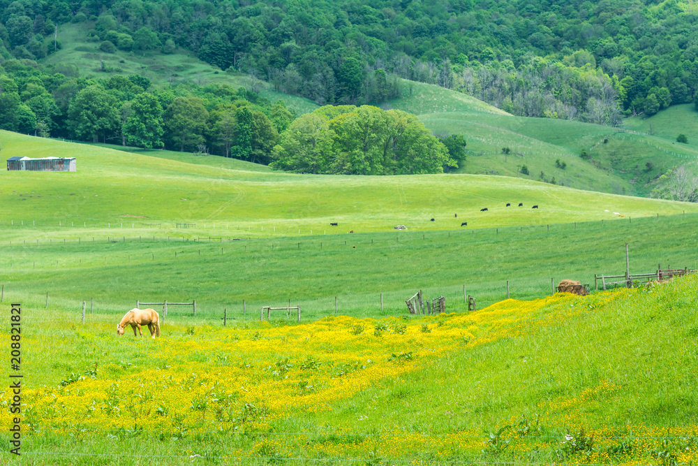 Scenic views of Burkes Garden in Tazewell County Virginia. 