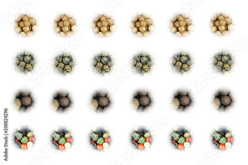 set of spice icons of dried spicy coriander seeds set of pimento peppers on white background