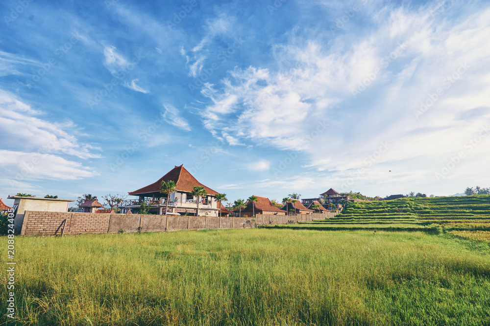 Beautiful landscape with traditional balinesse houses and rice field.