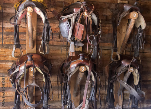 six saddles and bridles hanging from wall in tack room on Wyoming ranch