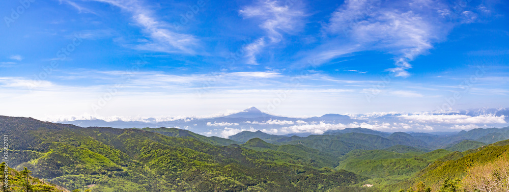 新緑と富士山 新緑と富士山