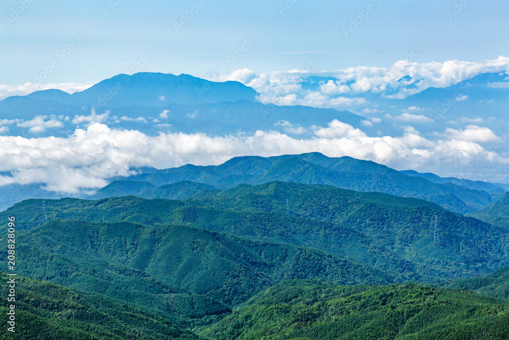 Fototapeta premium 新緑の山