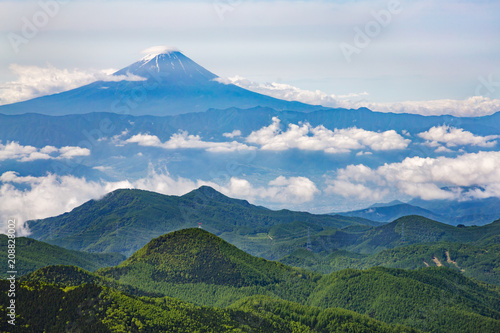 新緑と富士山 © taka