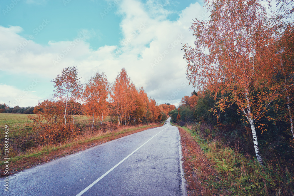 Fall season. Beautiful landscape with empty road.
