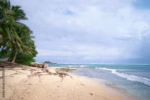 Exotic vacation and relaxation. Landscape with beautiful tropical beach with palm trees and blue sea.