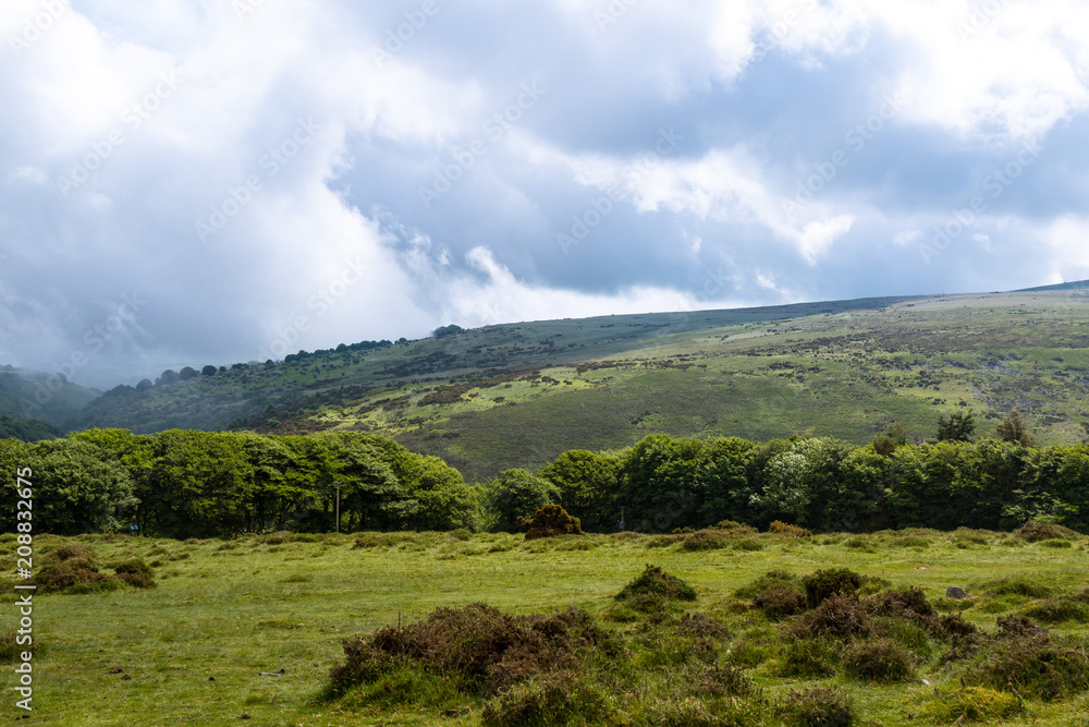 Obraz premium Dartmoor National Park