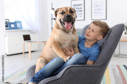 Cute little child with dog sitting in armchair at home