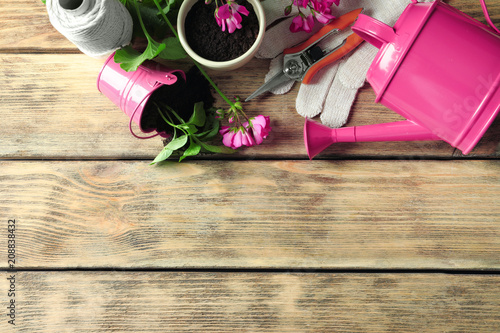 Flat lay composition with gardening tools and plants on wooden background