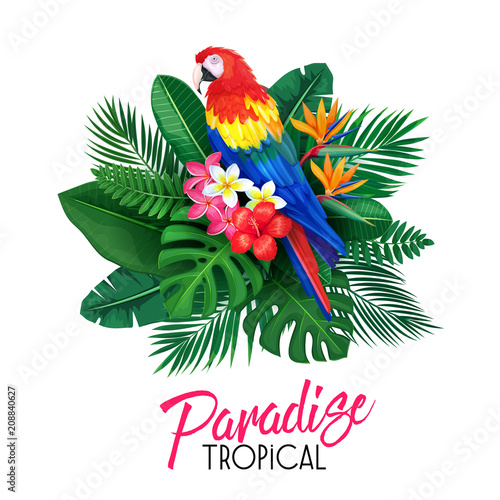 tropical banner with toucan