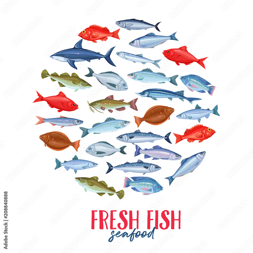 Set banners fish. Set banners fish.
