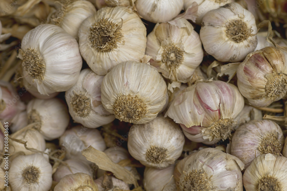 A pile of garlics A pile of garlics