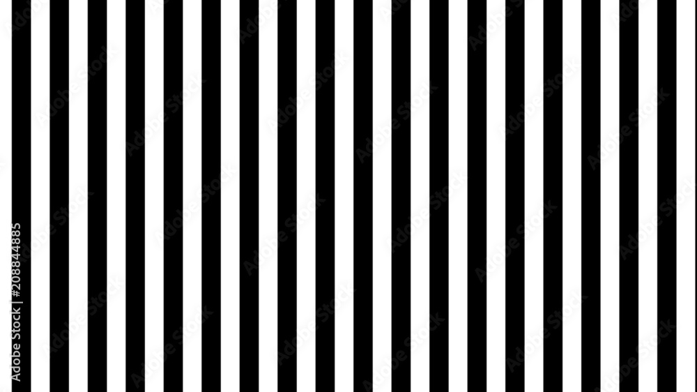 Vertical Black and White Bars Vertical Black and White Bars
