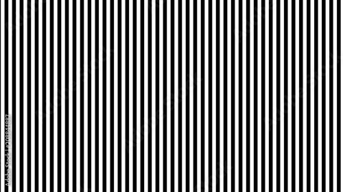 Black and White Vertical Stripes photo