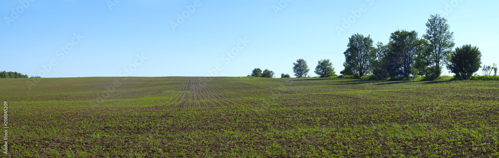 country spring field organic agriculture panoramic farming land