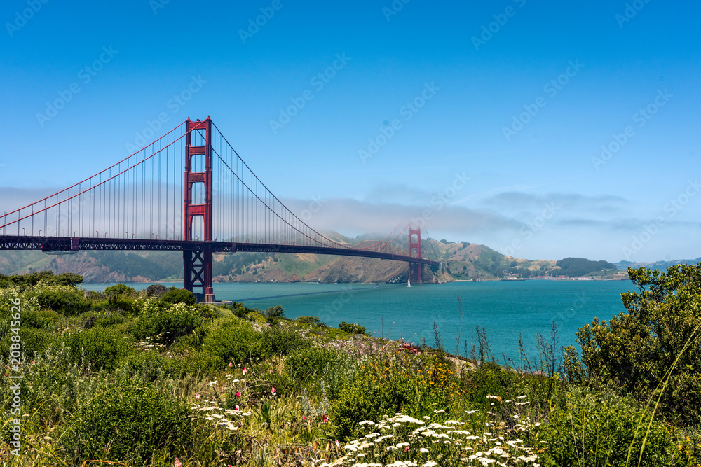 Golden gate bridge vivid day landscape, San Francisco, USA Golden gate bridge vivid day landscape, San Francisco, USA