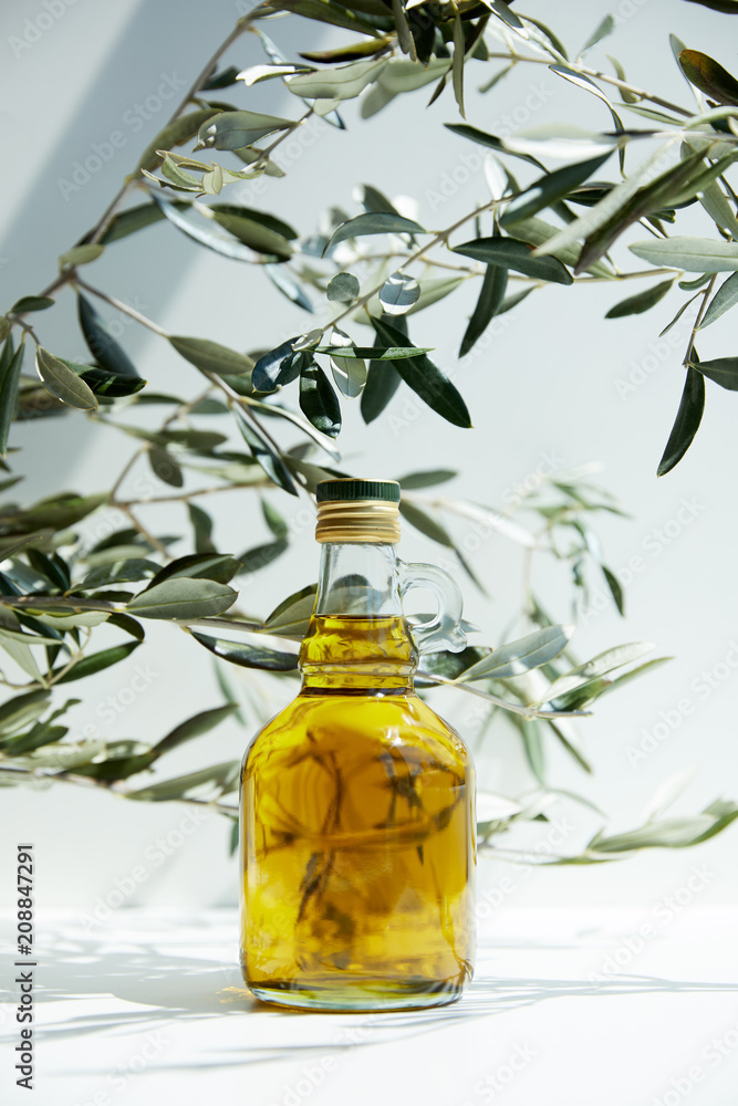 bottle of aromatic olive oil and branches on white table bottle of aromatic olive oil and branches on white table