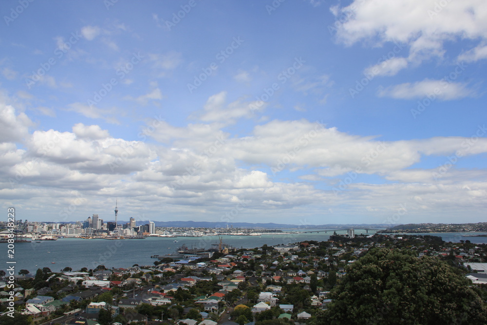 Auckland City View from Mt Victoria