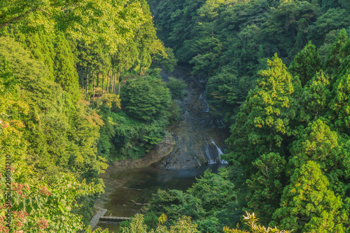 夏の養老渓谷の粟又の滝の風景
