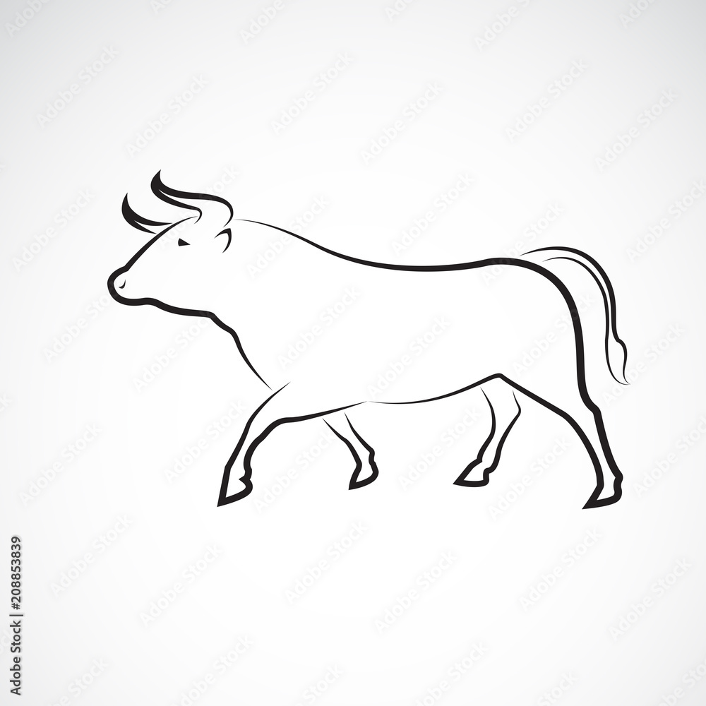 Vector of bull design on white background, Wild Animals, Vector illustration. Easy editable layered vector illustration. Vector of bull design on white background, Wild Animals, Vector illustration. Easy editable layered vector illustration.