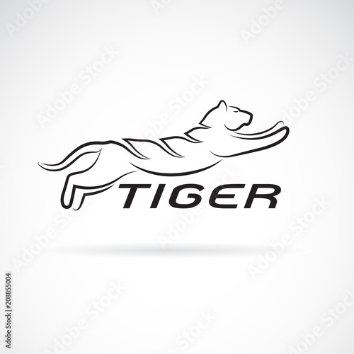 Fototapeta Naklejka Na Ścianę i Meble -  Vector of black tiger design on white background. Wild Animals. Easy editable layered vector illustration.