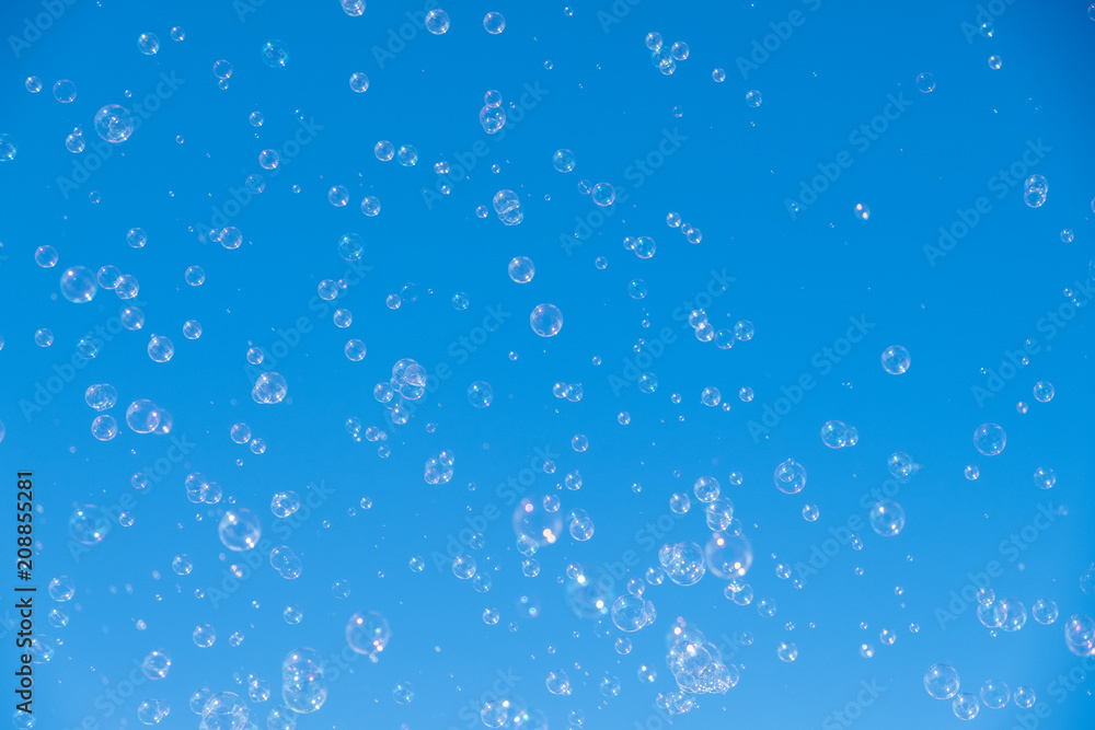 Bubbles Bubbles