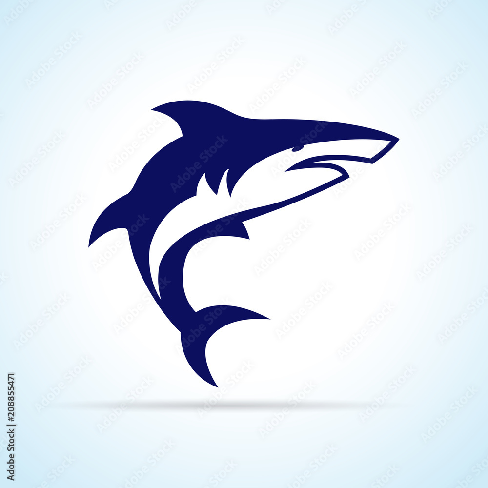 shark design on white background shark design on white background