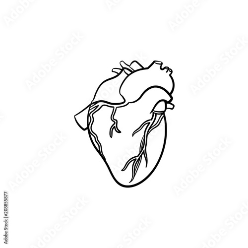 Heart hand drawn outline doodle icon