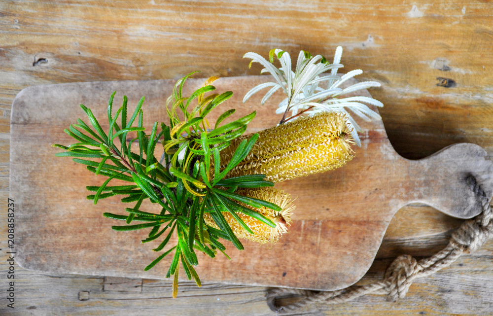 Banksia Australian native flower on natural wood background, wild ...