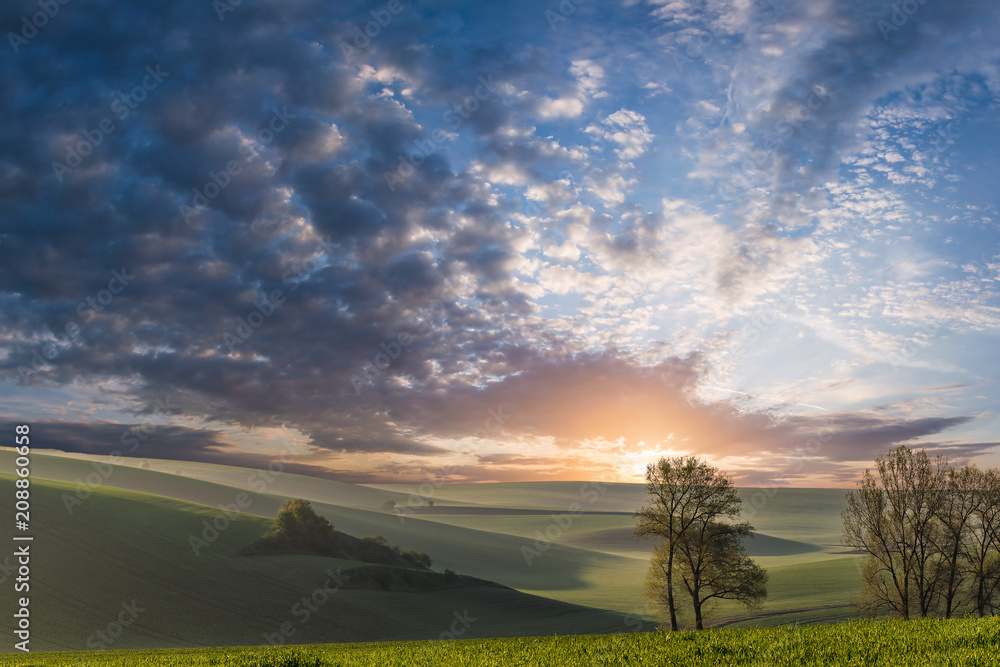 Summer landscape with sunrise and green fields Summer landscape with sunrise and green fields