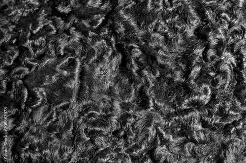 Curly black fur texture or sheepskin background, closeup