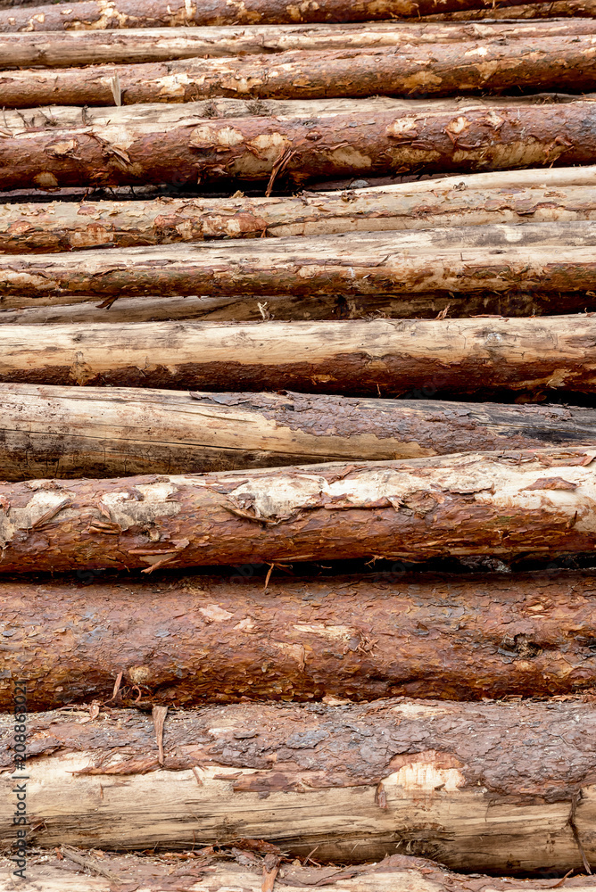Stacked trunks Stacked trunks