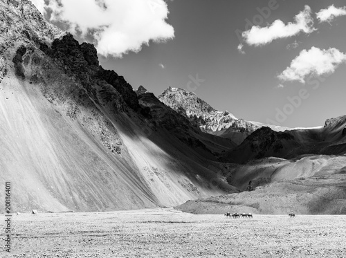 Black And White mountains with clouds, snow and horses