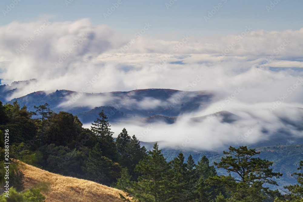 Fototapeta premium MT. Tamalpais State Park