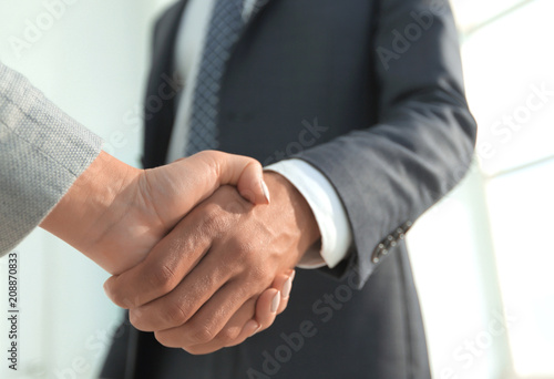 Excited smiling businessman handshaking partner at meeting,